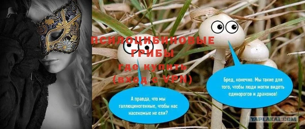 дживик Алзамай