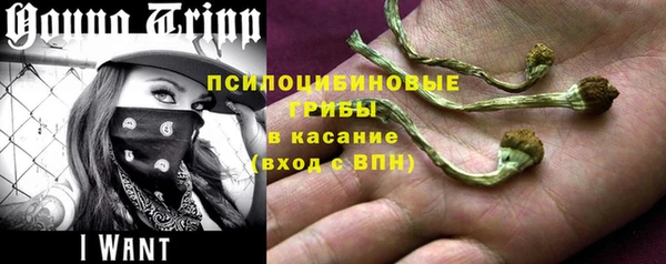 дживик Алзамай