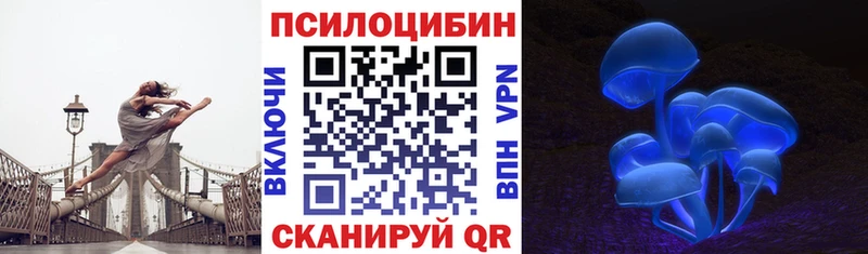 OMG ТОР  Гдов  Псилоцибиновые грибы GOLDEN TEACHER 